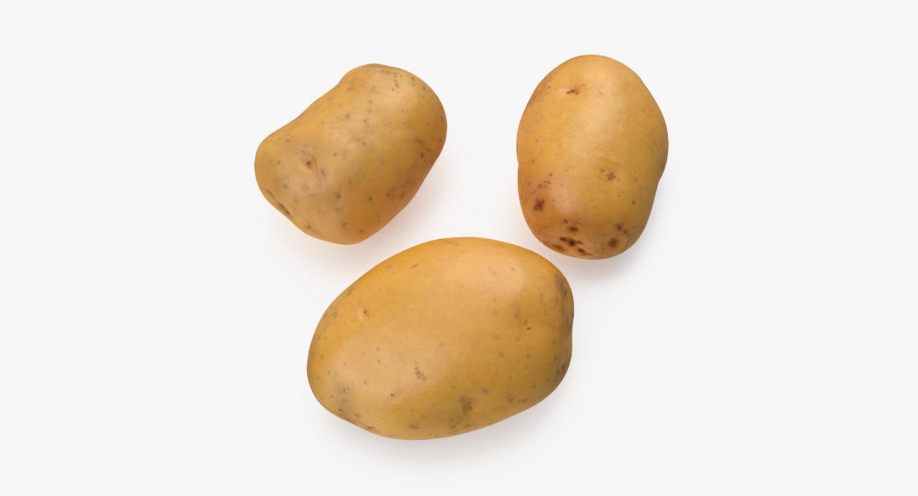 3D Raw Potatoes Set