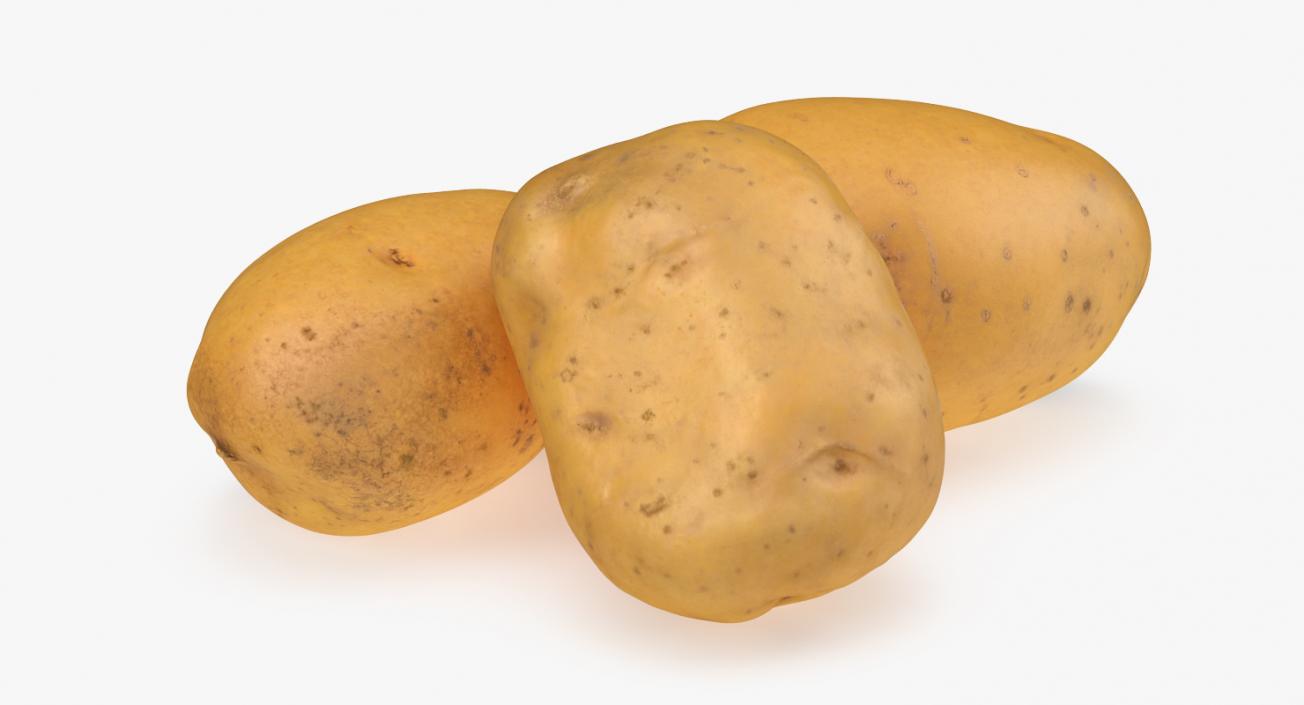 3D Raw Potatoes Set