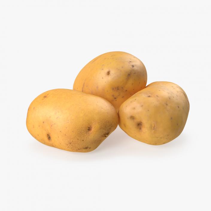 3D Raw Potatoes Set