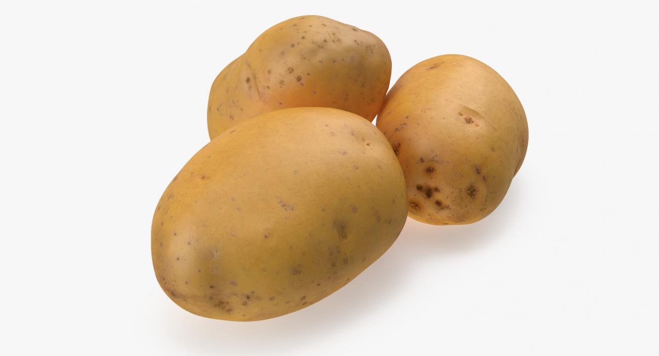 3D Raw Potatoes Set