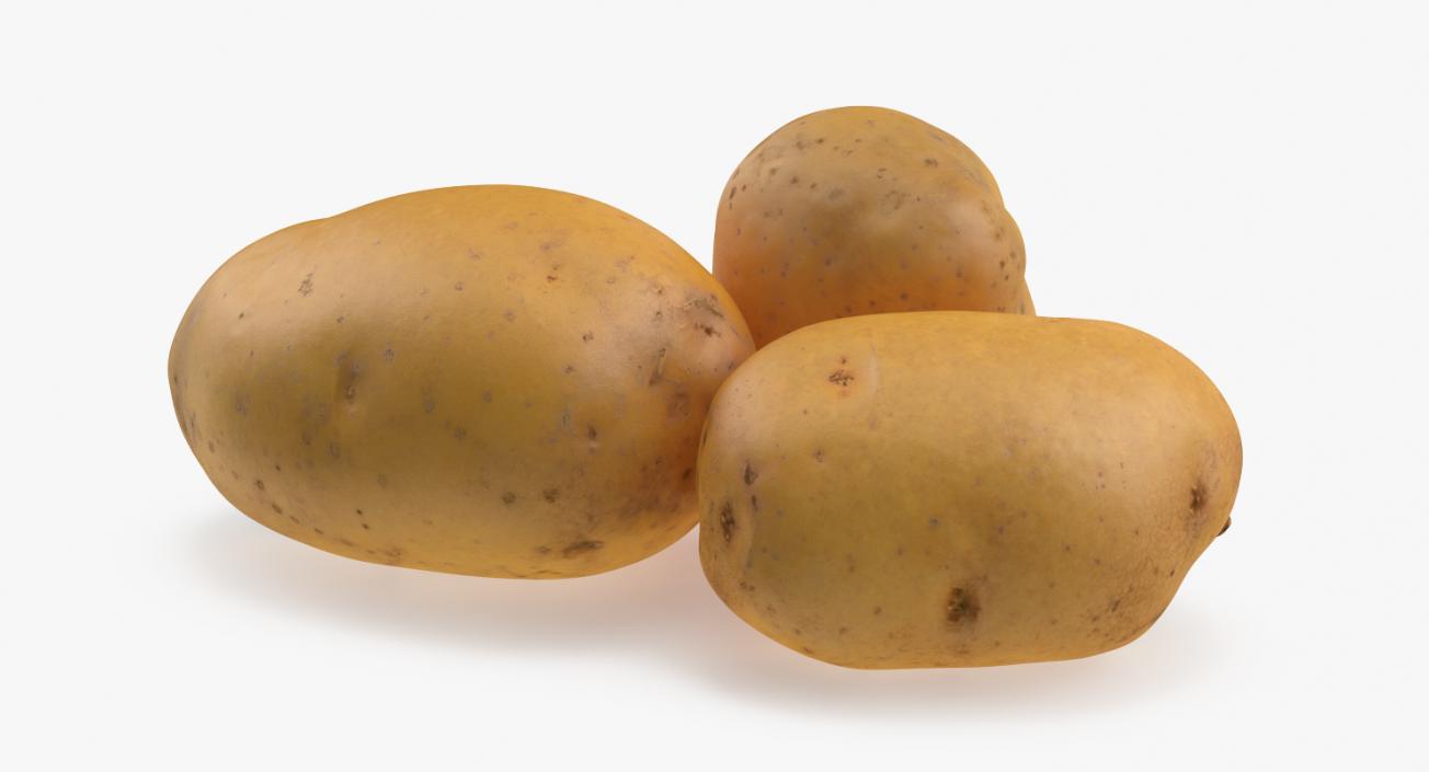 3D Raw Potatoes Set