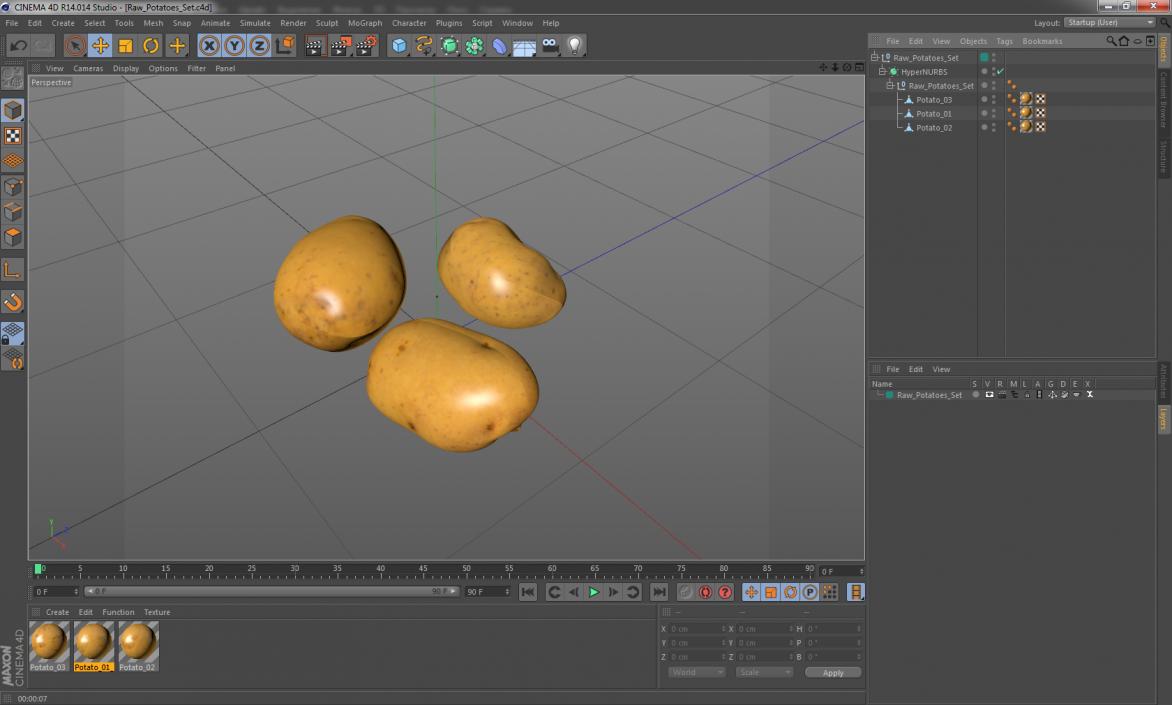 3D Raw Potatoes Set