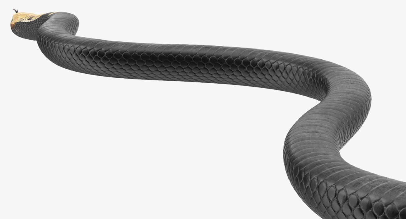 3D model Dark Cobra Snake Crawling