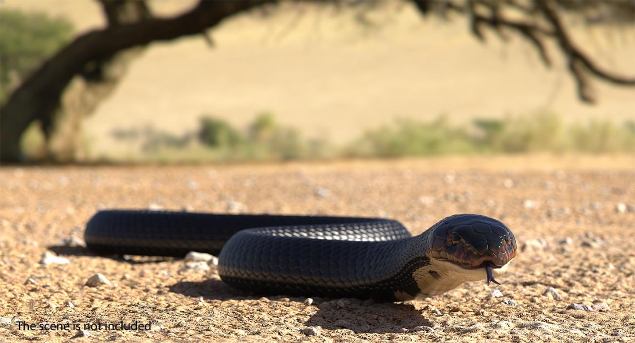 3D model Dark Cobra Snake Crawling