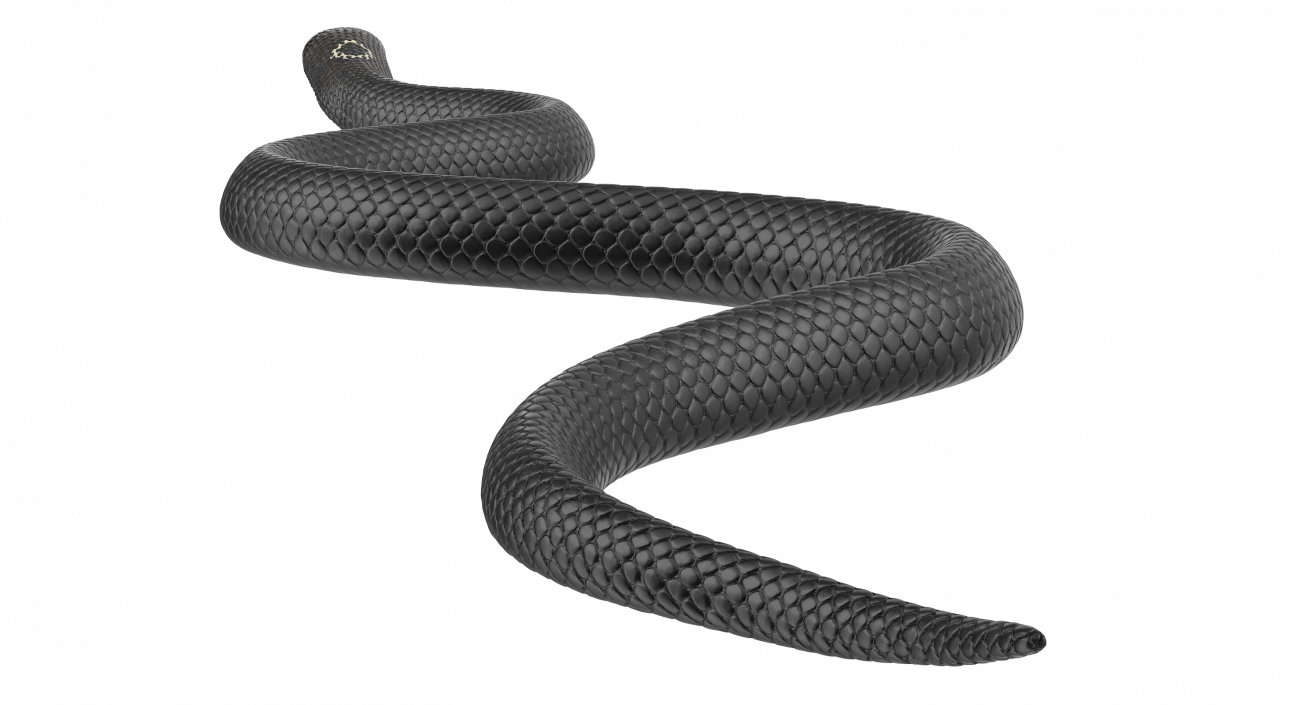 3D model Dark Cobra Snake Crawling