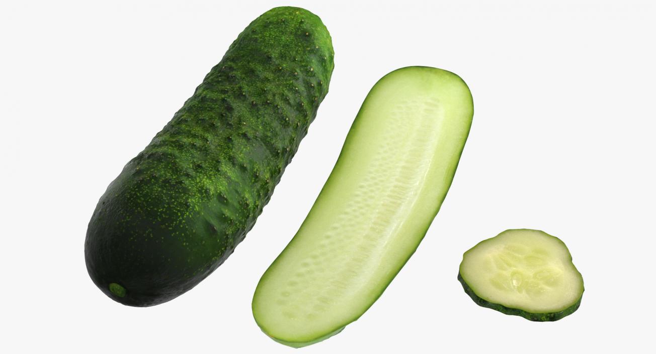 Cucumber Collection 3D model