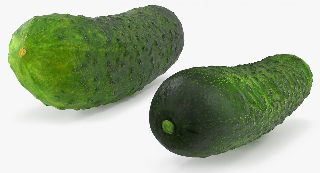 Cucumber Collection 3D model