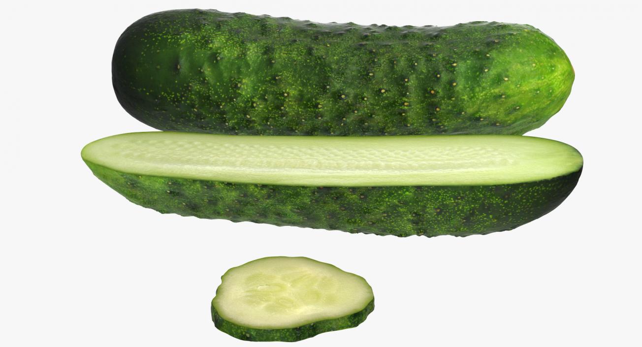 Cucumber Collection 3D model