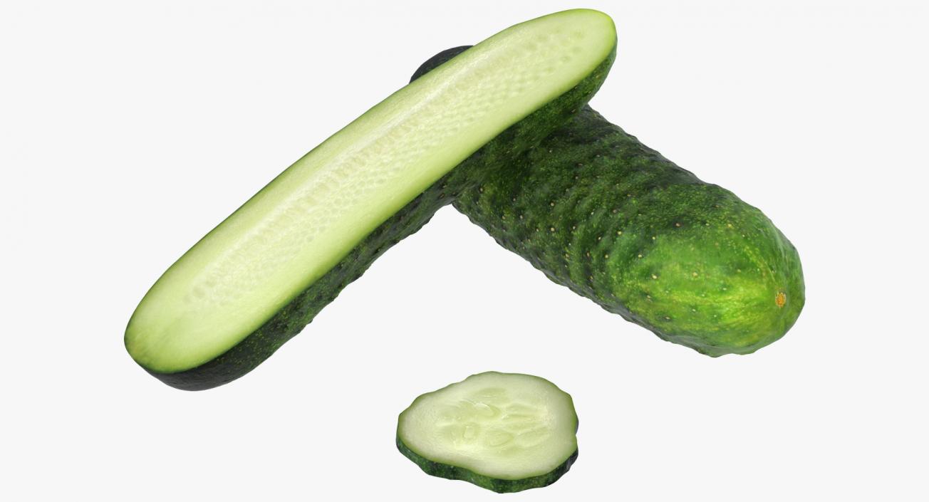 Cucumber Collection 3D model