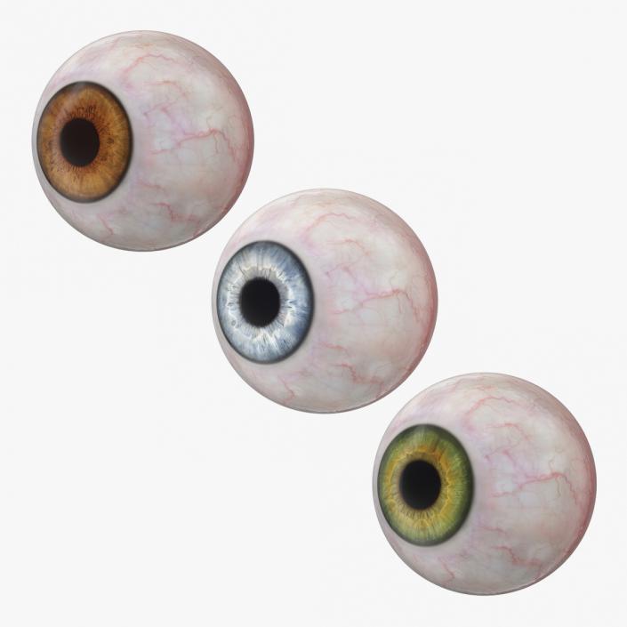 3D model Realistic Human Eyeballs Collection