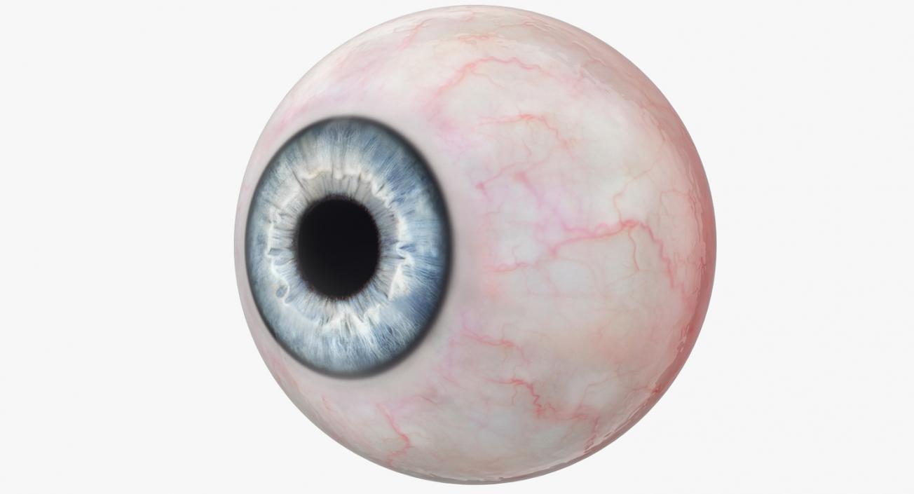 3D model Realistic Human Eyeballs Collection