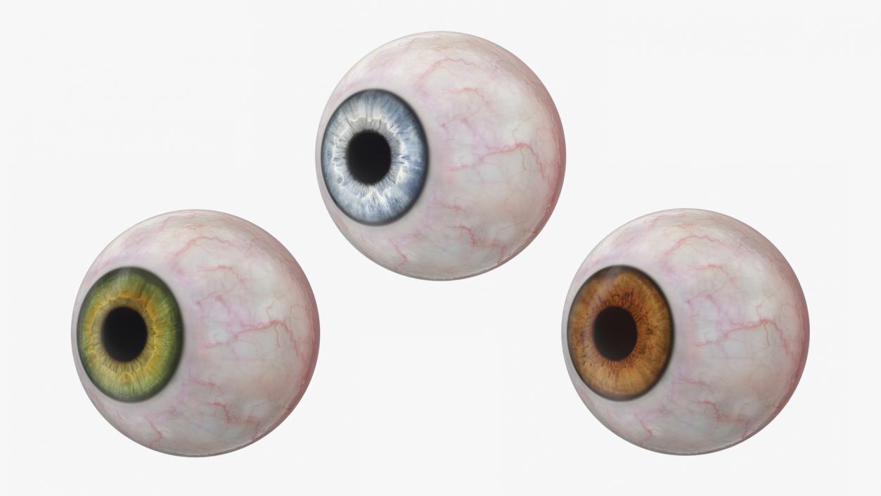 3D model Realistic Human Eyeballs Collection