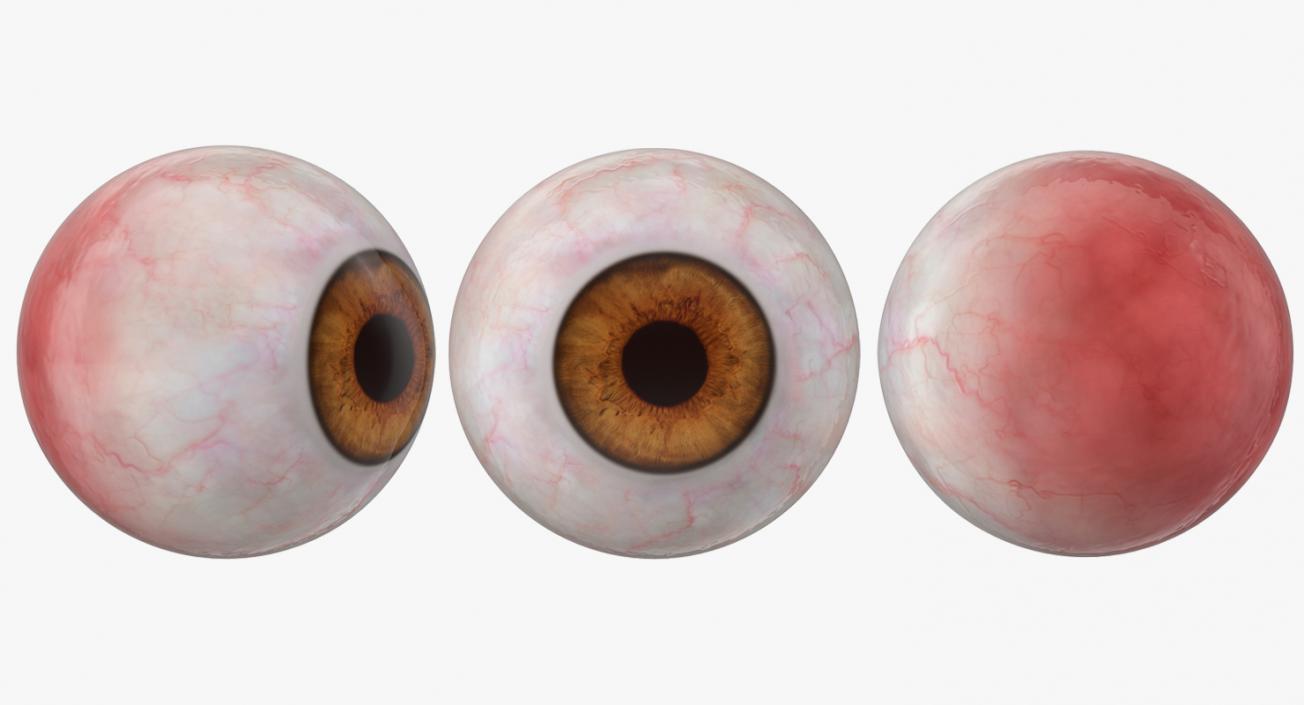 3D model Realistic Human Eyeballs Collection