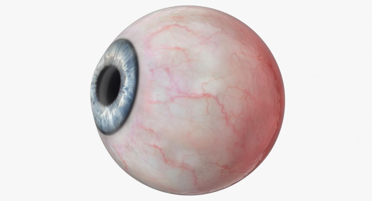 3D model Realistic Human Eyeballs Collection