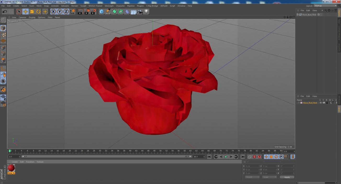 Rose Bud Red 3D