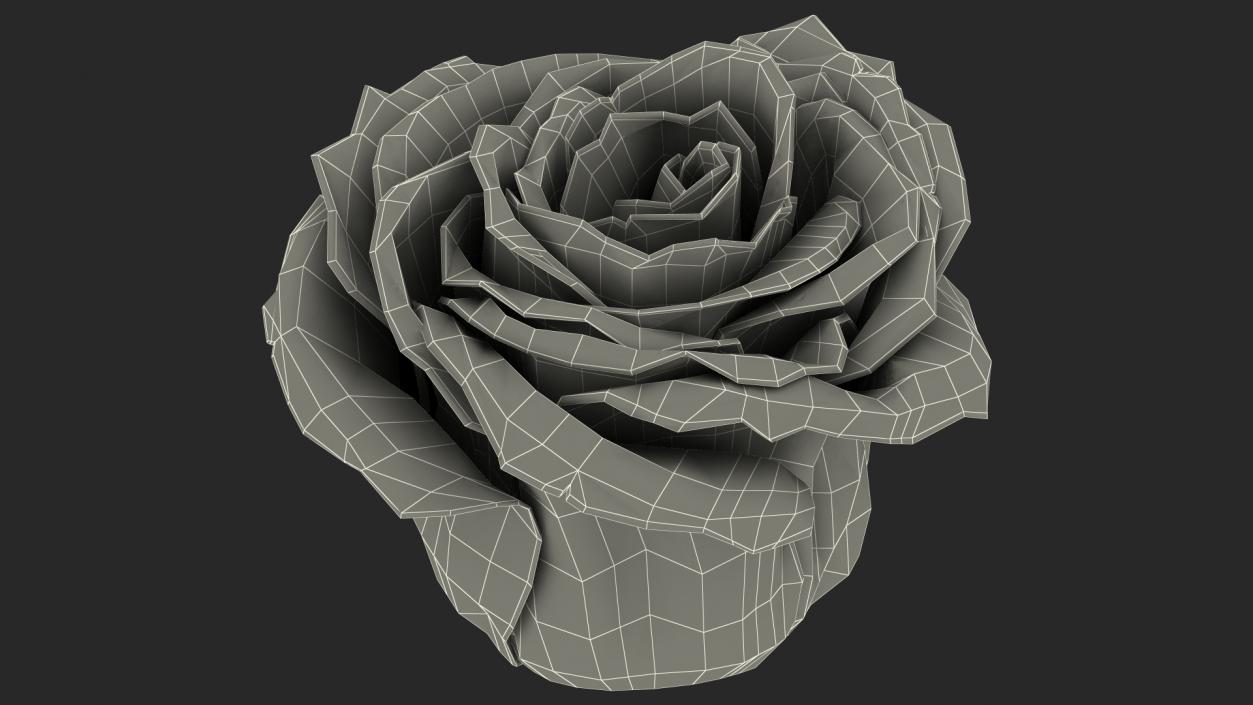 Rose Bud Red 3D