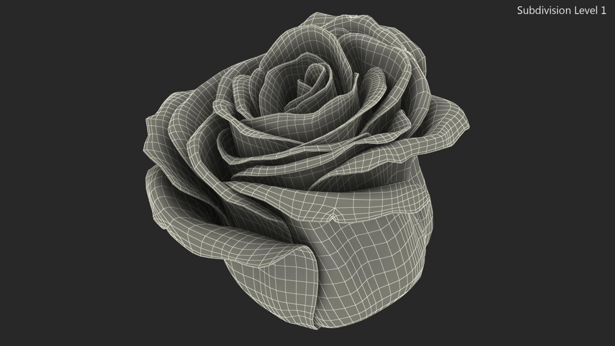 Rose Bud Red 3D