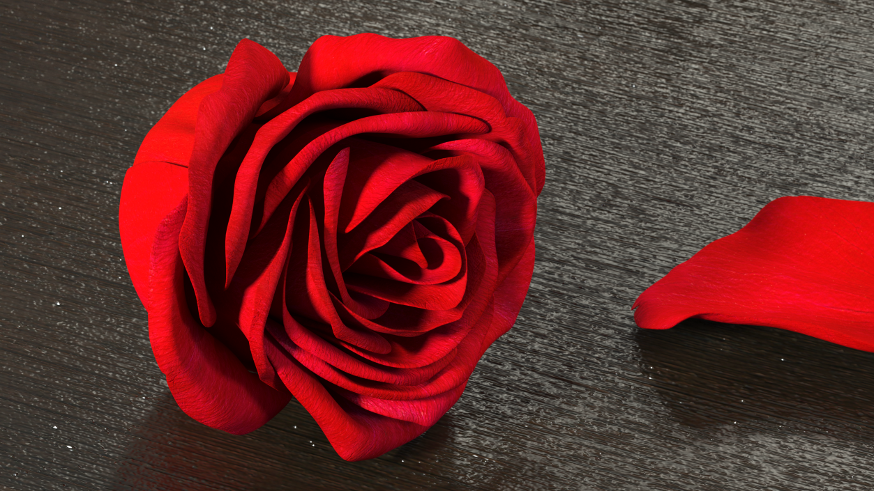 Rose Bud Red 3D