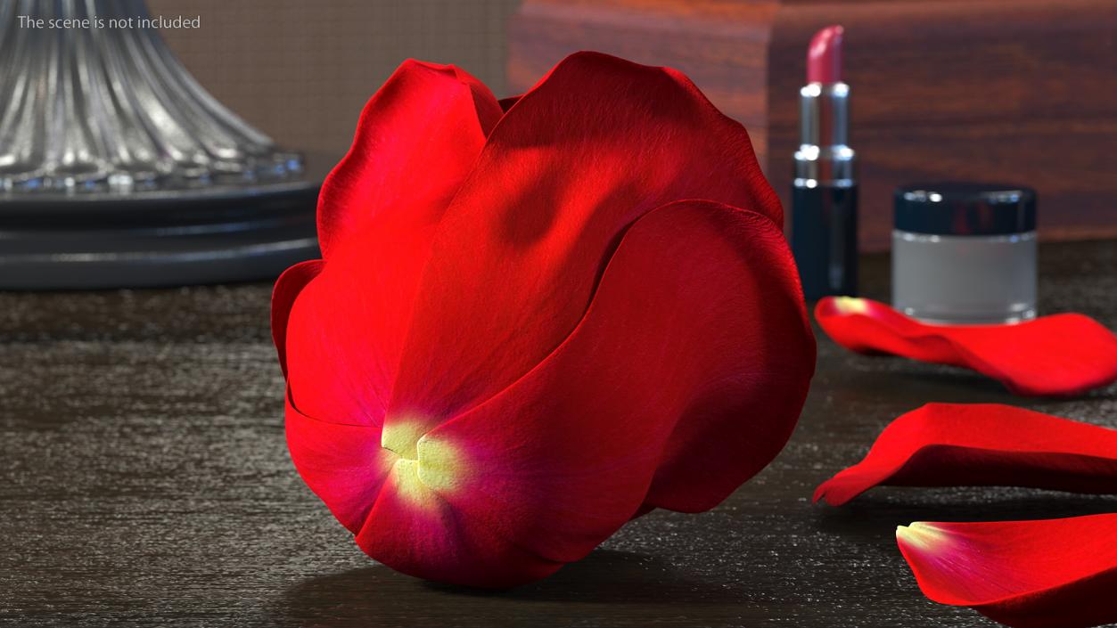 Rose Bud Red 3D