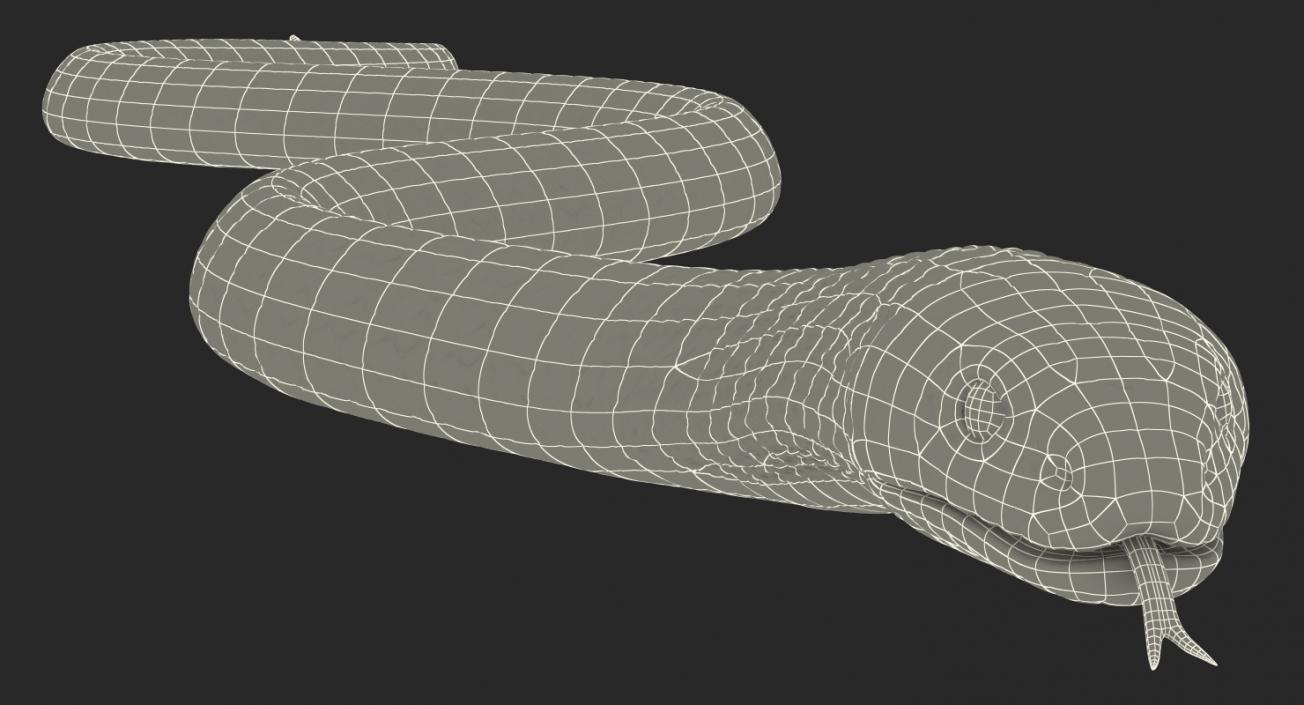 3D Beige Cobra Snake Crawling