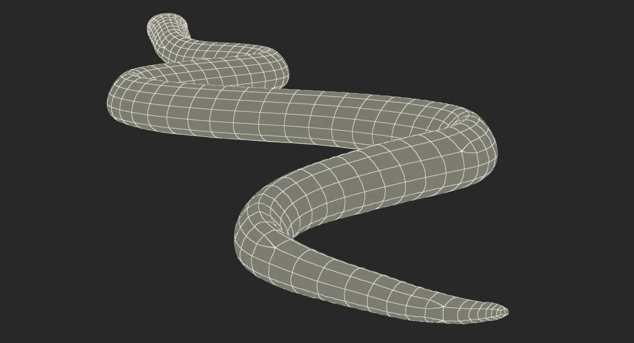 3D Beige Cobra Snake Crawling