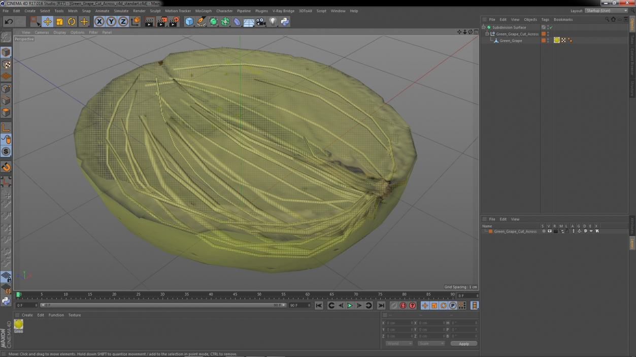 Green Grape Cut Across 3D