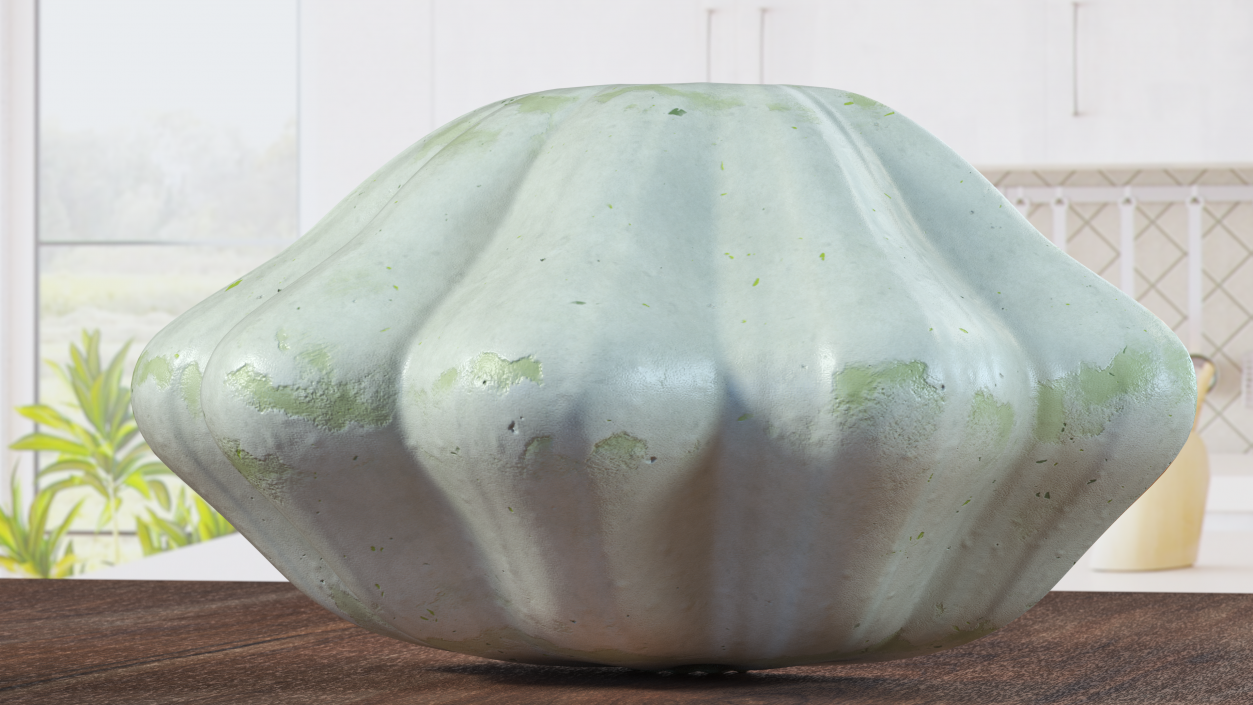 3D Half of White Bush Pumpkin