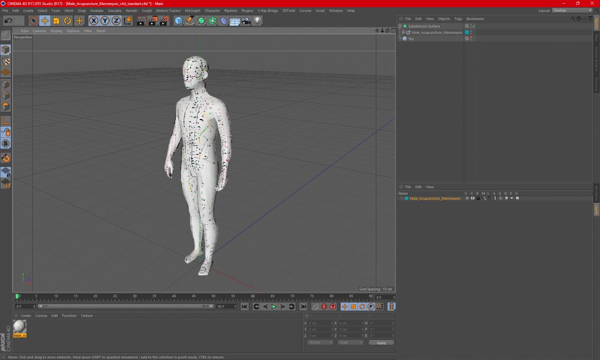 3D Male Acupuncture Mannequin 2 model