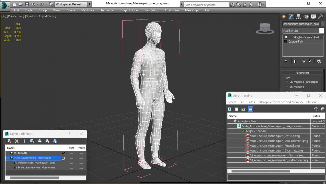 3D Male Acupuncture Mannequin 2 model