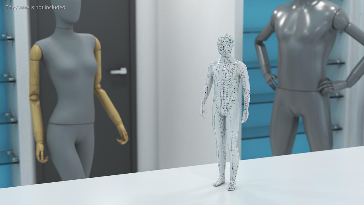 3D Male Acupuncture Mannequin 2 model