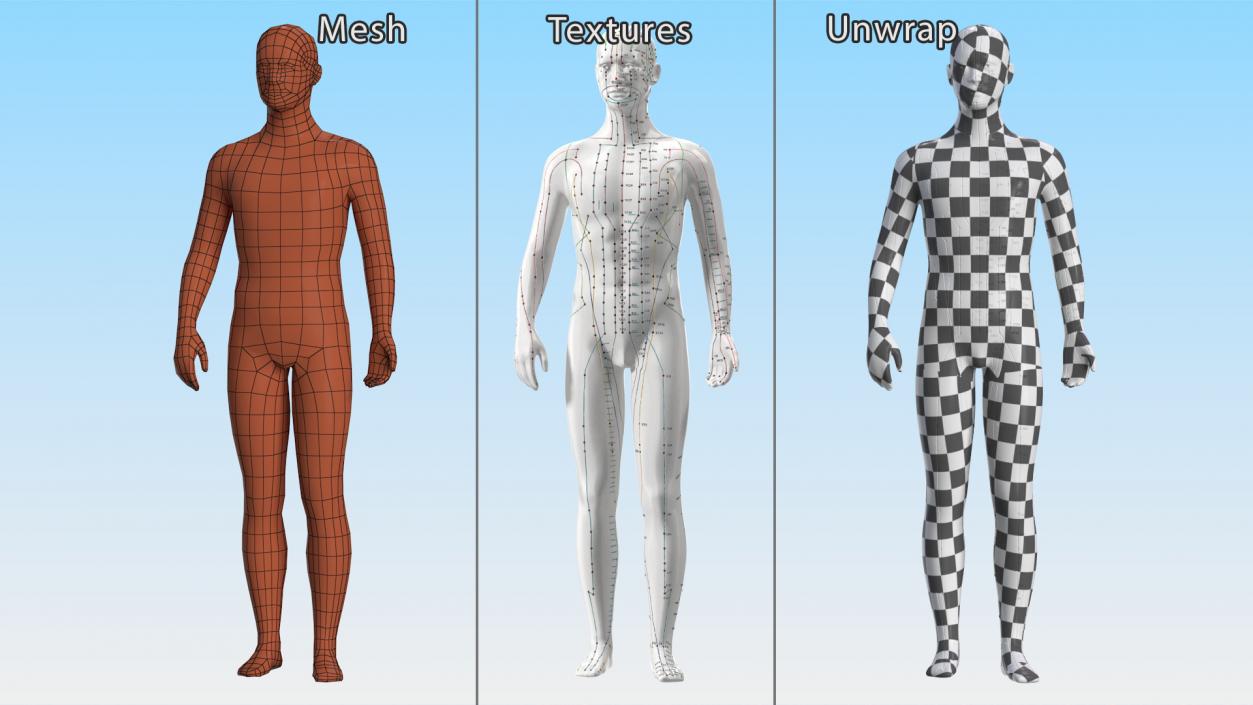 3D Male Acupuncture Mannequin 2 model