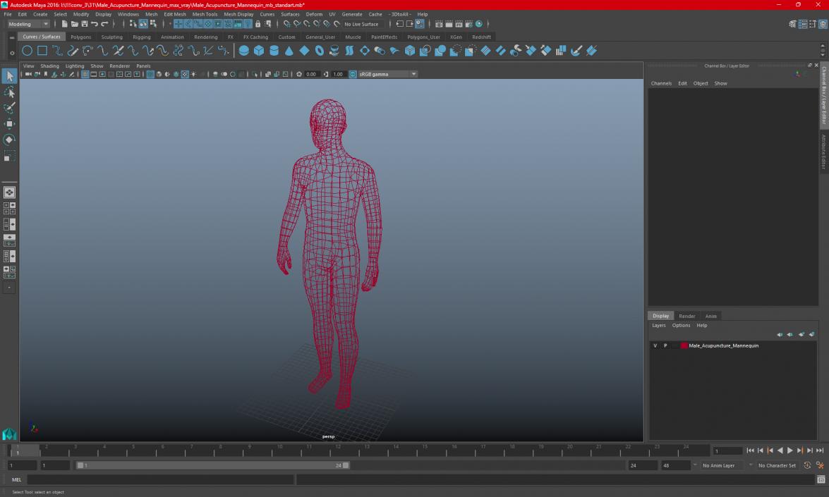 3D Male Acupuncture Mannequin 2 model