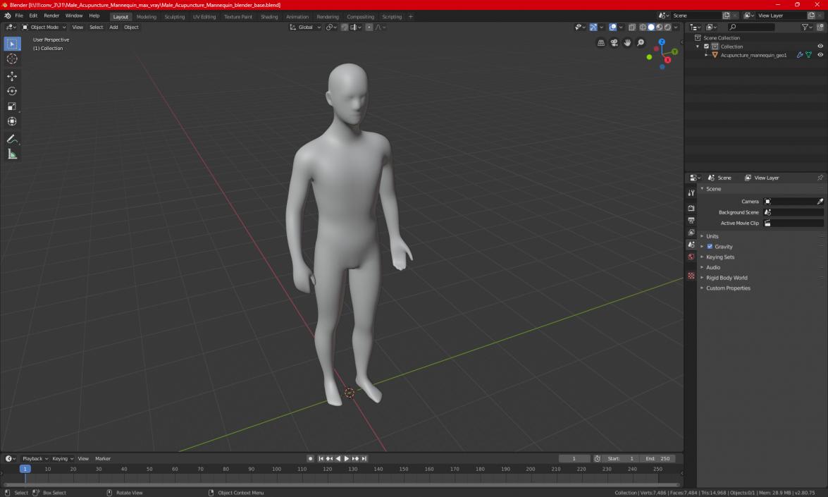 3D Male Acupuncture Mannequin 2 model