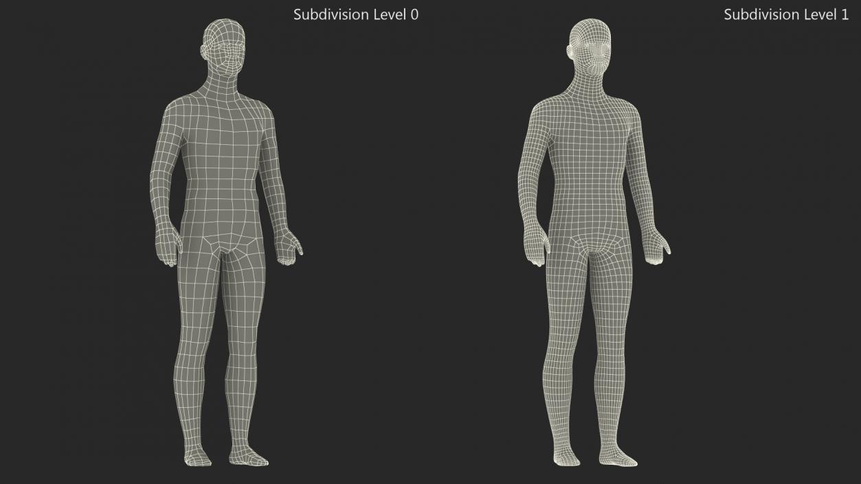 3D Male Acupuncture Mannequin 2 model