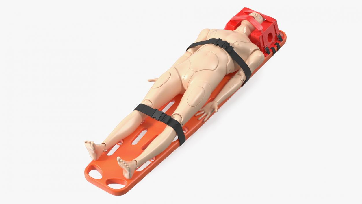 3D model Spinal Board Stretcher with Manikin