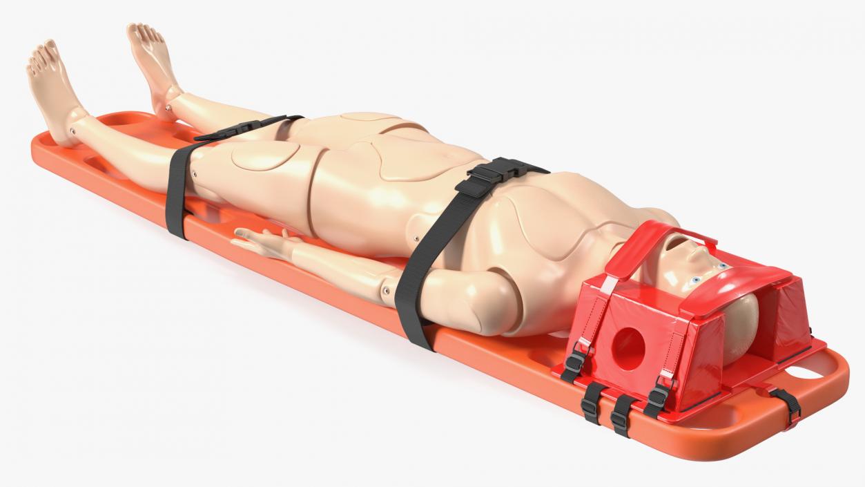 3D model Spinal Board Stretcher with Manikin