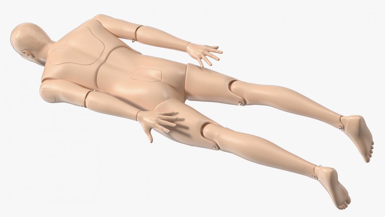 3D model Spinal Board Stretcher with Manikin