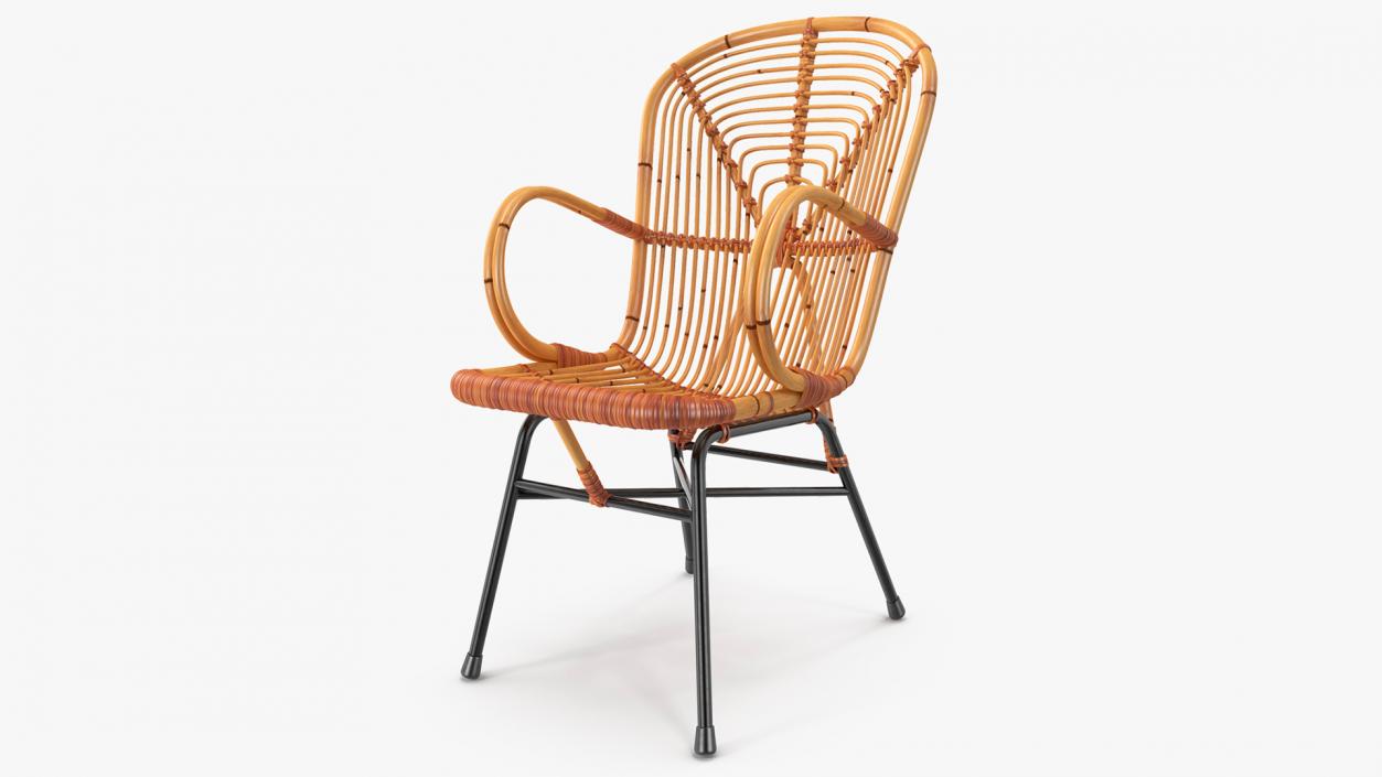 Vintage Bamboo Lounge Chair 3D