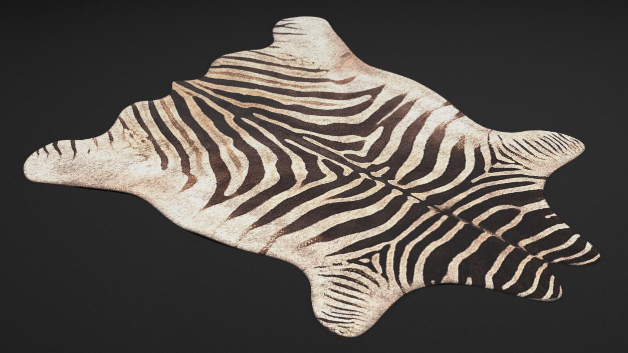 Zebra Hide Rug 3D model