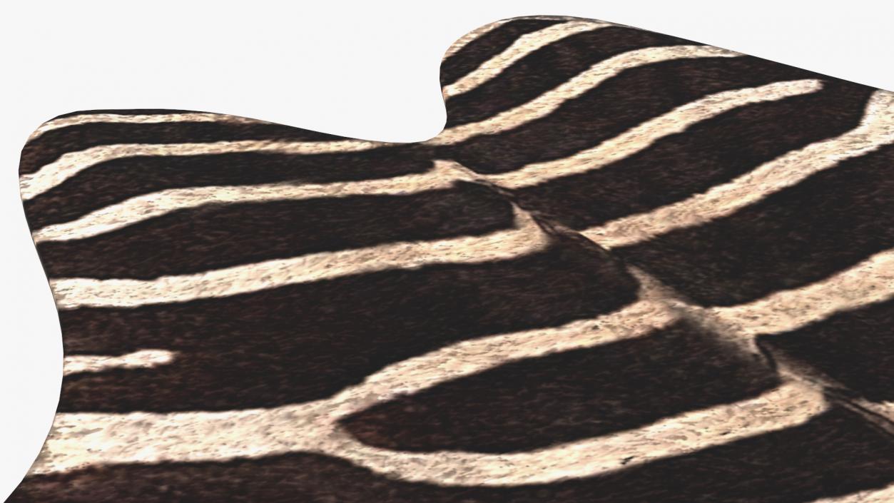 Zebra Hide Rug 3D model