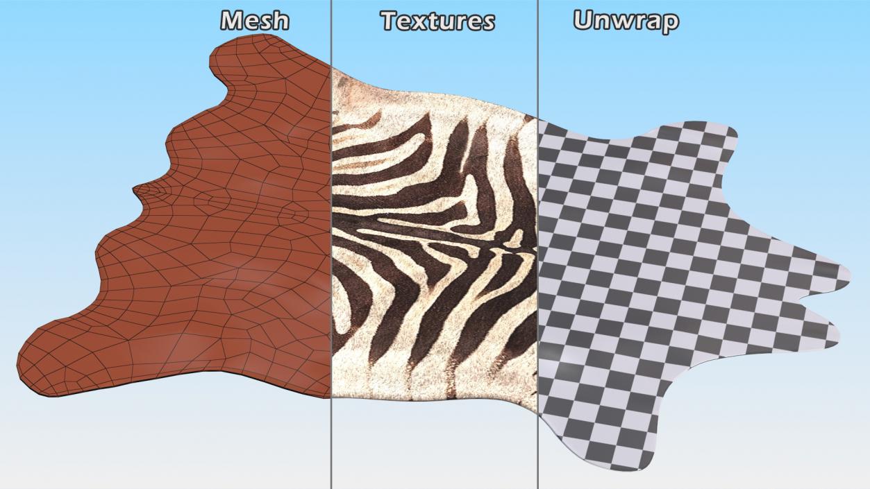 Zebra Hide Rug 3D model