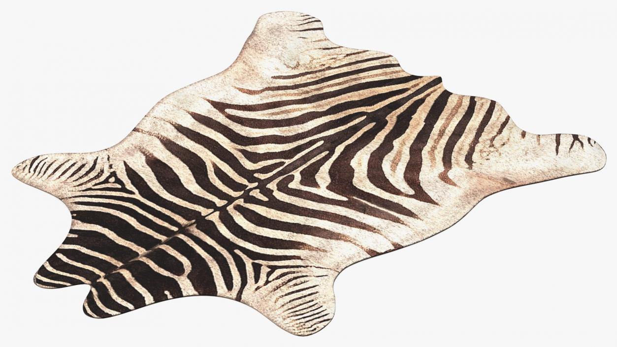 Zebra Hide Rug 3D model