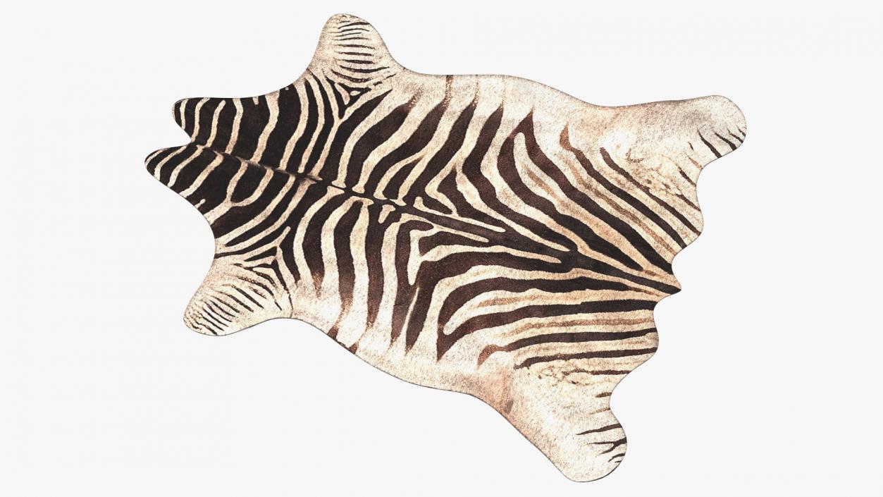 Zebra Hide Rug 3D model