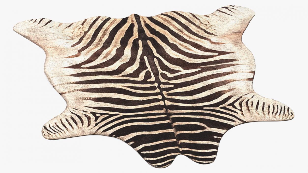 Zebra Hide Rug 3D model