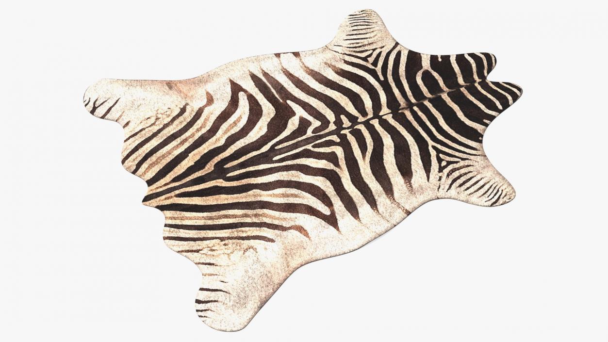 Zebra Hide Rug 3D model