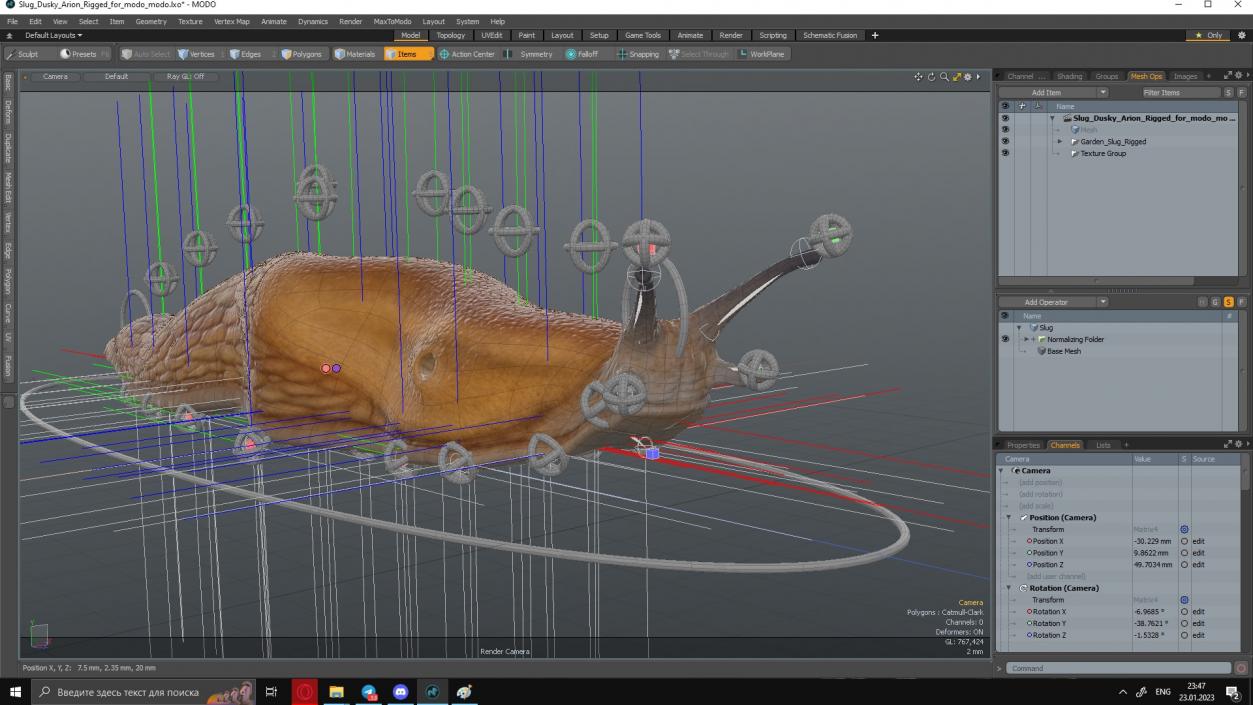 Slug Dusky Arion Rigged for Modo 3D