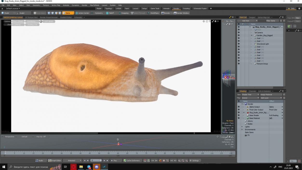 Slug Dusky Arion Rigged for Modo 3D