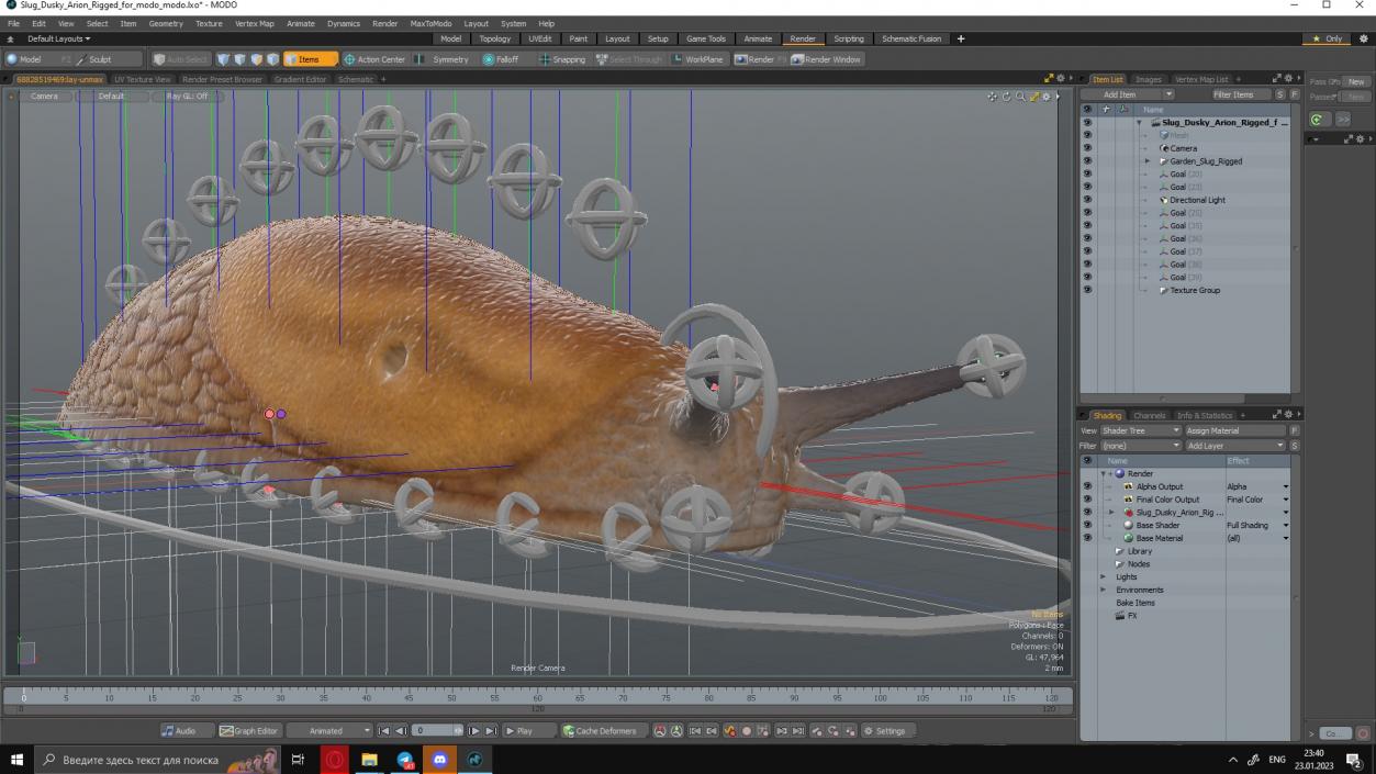 Slug Dusky Arion Rigged for Modo 3D