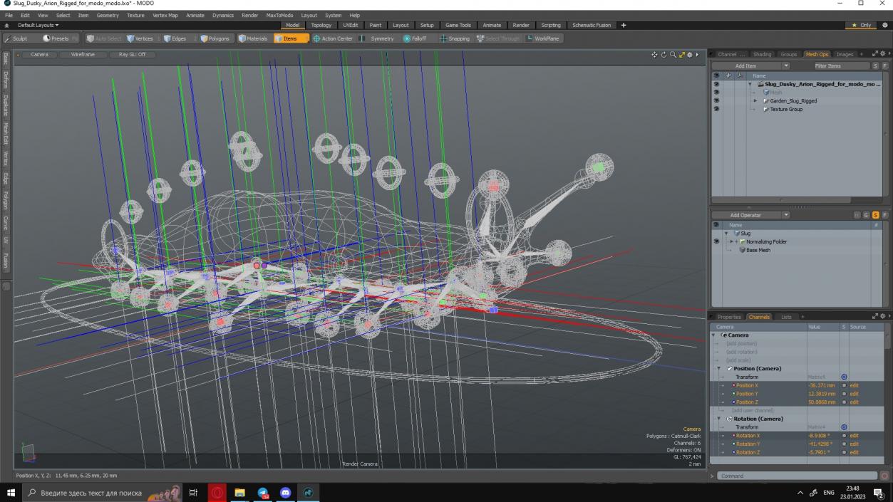 Slug Dusky Arion Rigged for Modo 3D