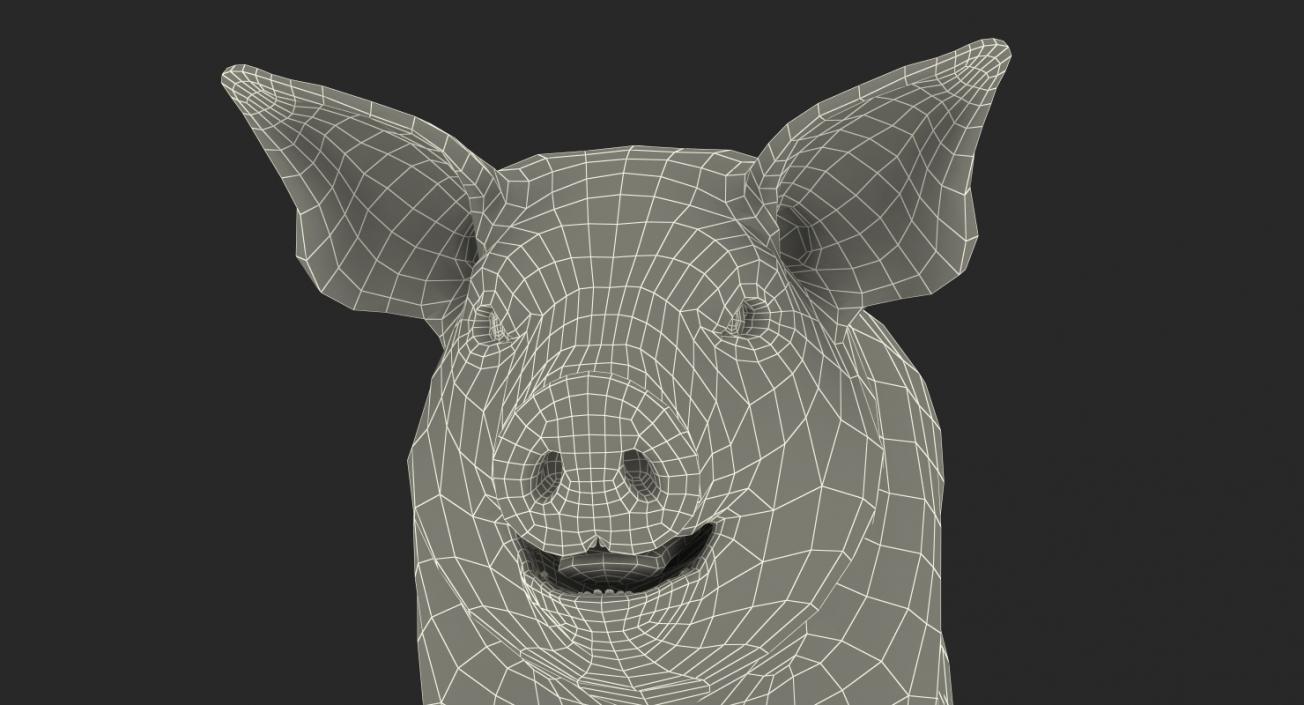 3D model Pig Piglet Landrace with Fur Rigged